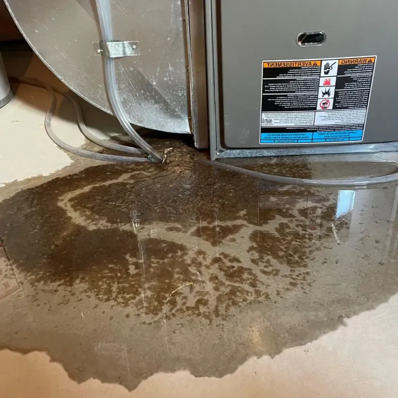 Pipe Burst and Leak Restoration in Pike Creek, DE